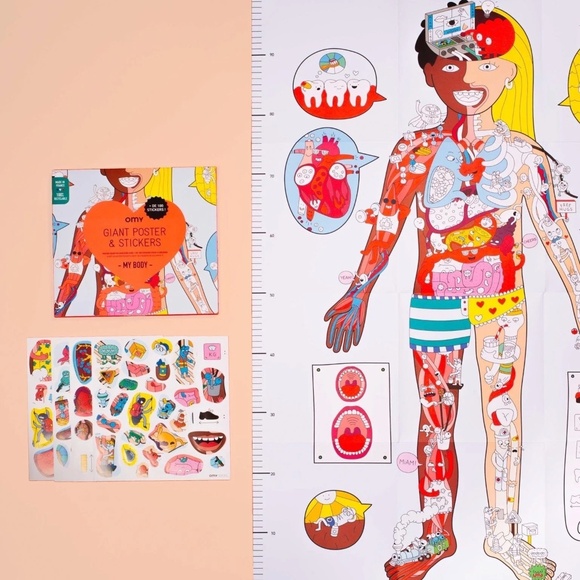 Made in France My Body Giant Sticker Poster for fun and learning - Picture 2 of 10
